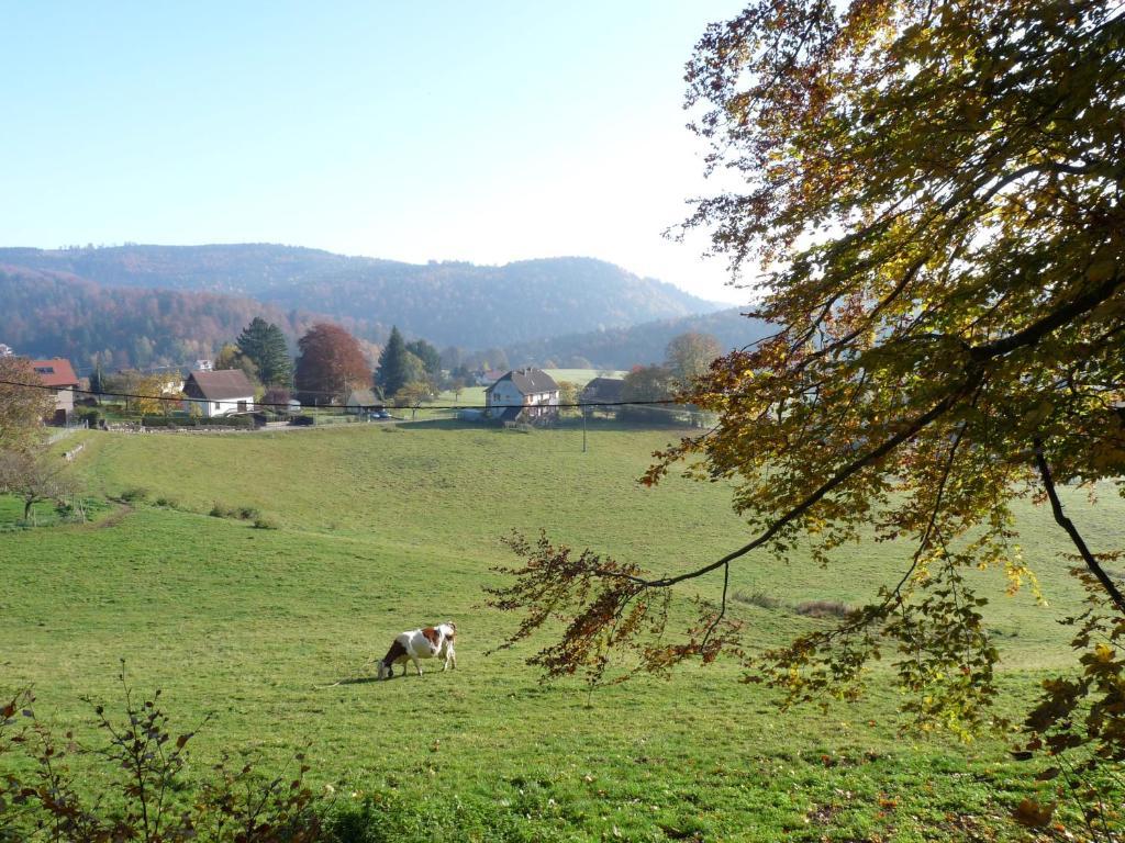 Locations Dupertuis Alsace Apartment Le Hohwald Cameră foto